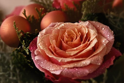 ART FLORAL – NOEL