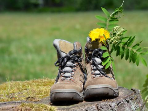 CALENDRIER DES RANDONNEES 2018-2019
