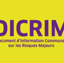 DICRIM (MAJ 2025)