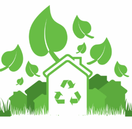 Journée ramassage des déchets