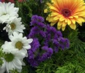 Manifestation du 8 mai 2026