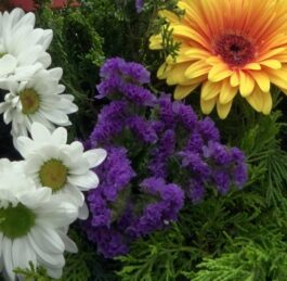 Manifestation du 8 mai 2026